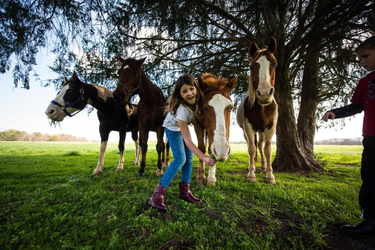 Southern Cross Guest Ranch ماديسون المظهر الخارجي الصورة
